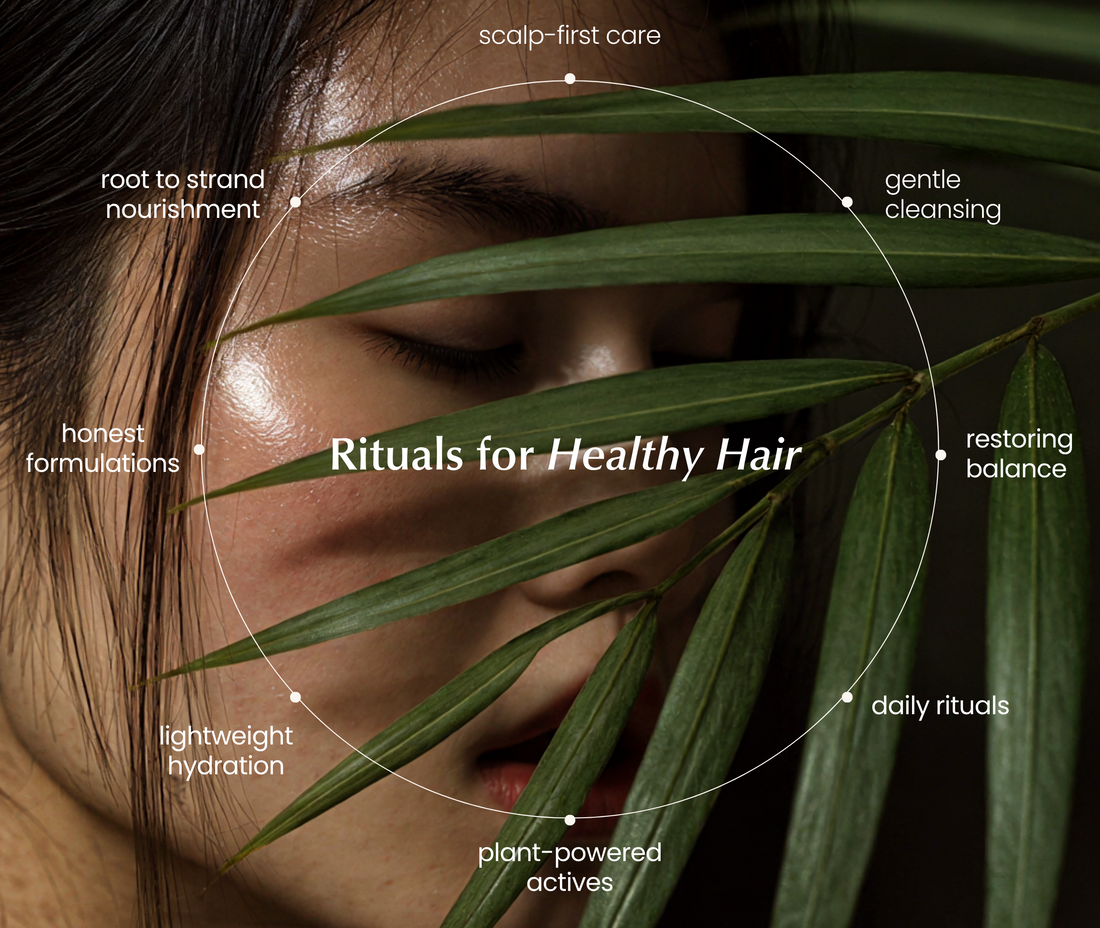 Hair Loss? Start With Your Scalp.